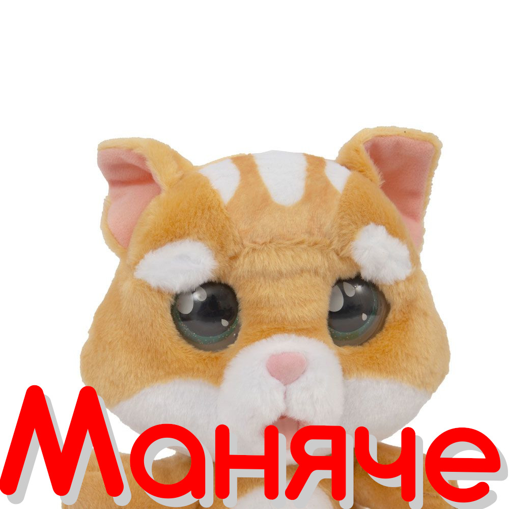 коте с истински сълзи