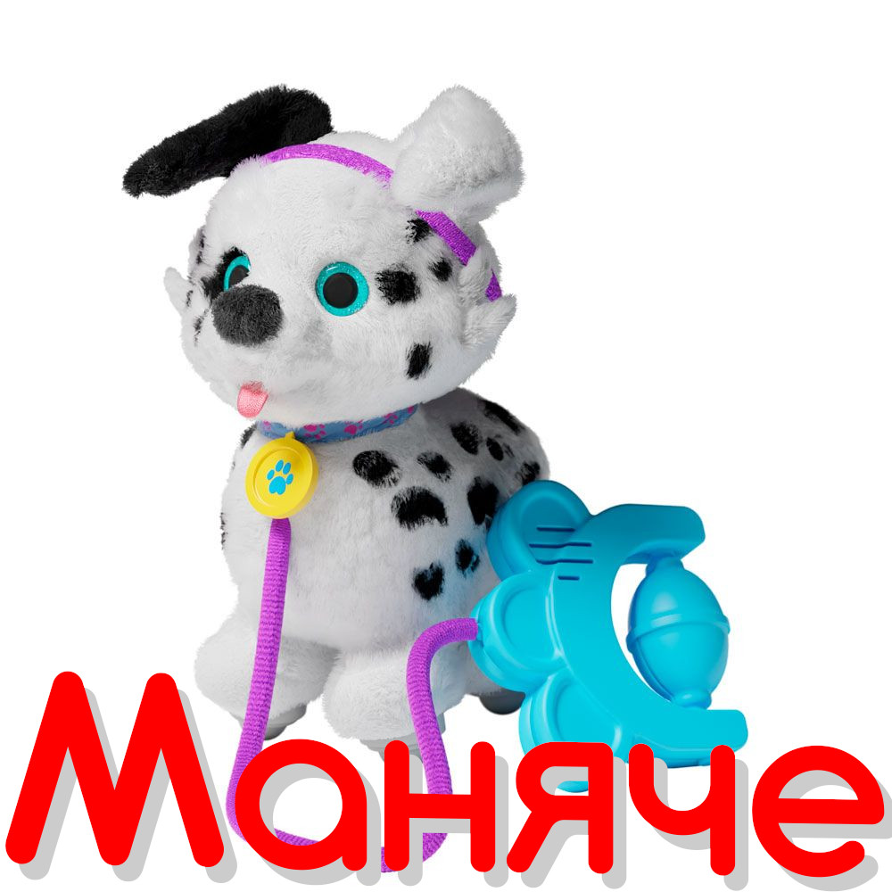 SPRINT Кученце за разходка Далматинец - Image 3
