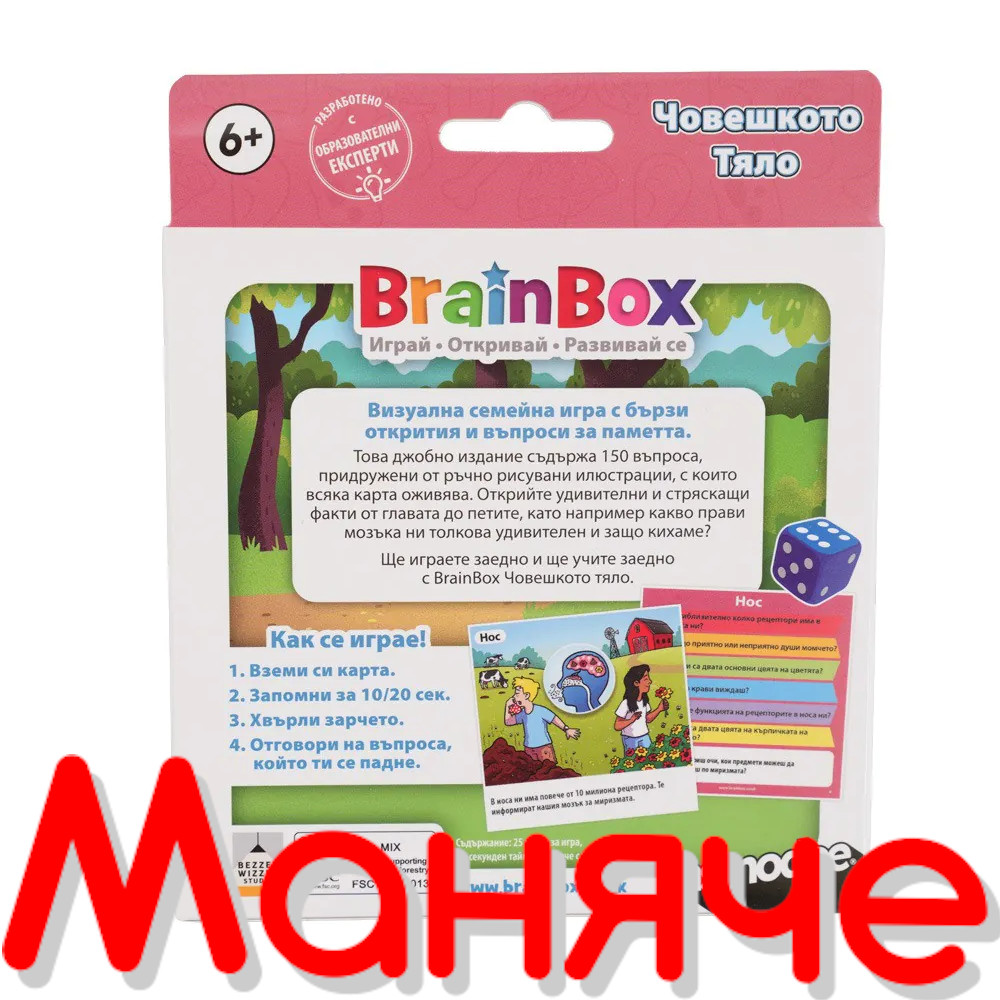 BRAINBOX Игра Човешкото тяло - Image 2