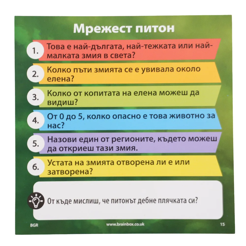 BRAINBOX Игра Опасни Животни - Image 4